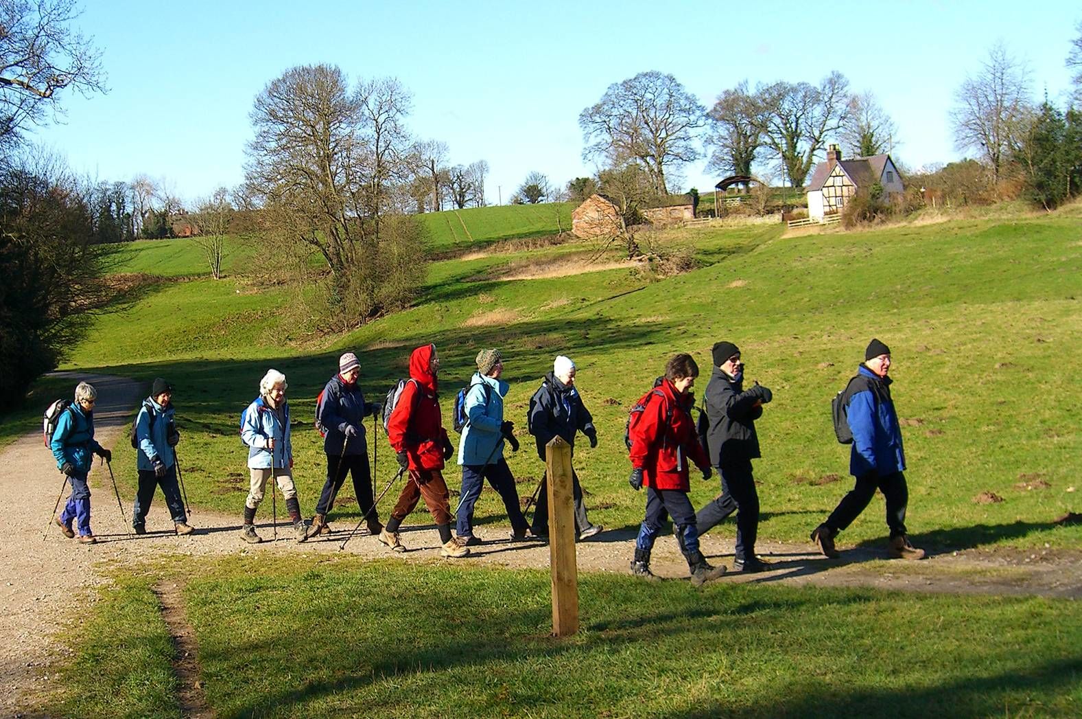 Friday Walkers